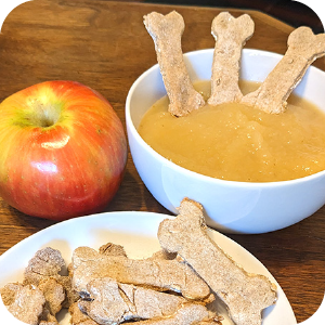 ApplesauceOatmealCookies Icon